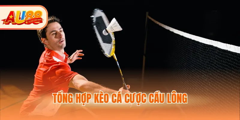 Tổng hợp kèo cá cược cầu lông